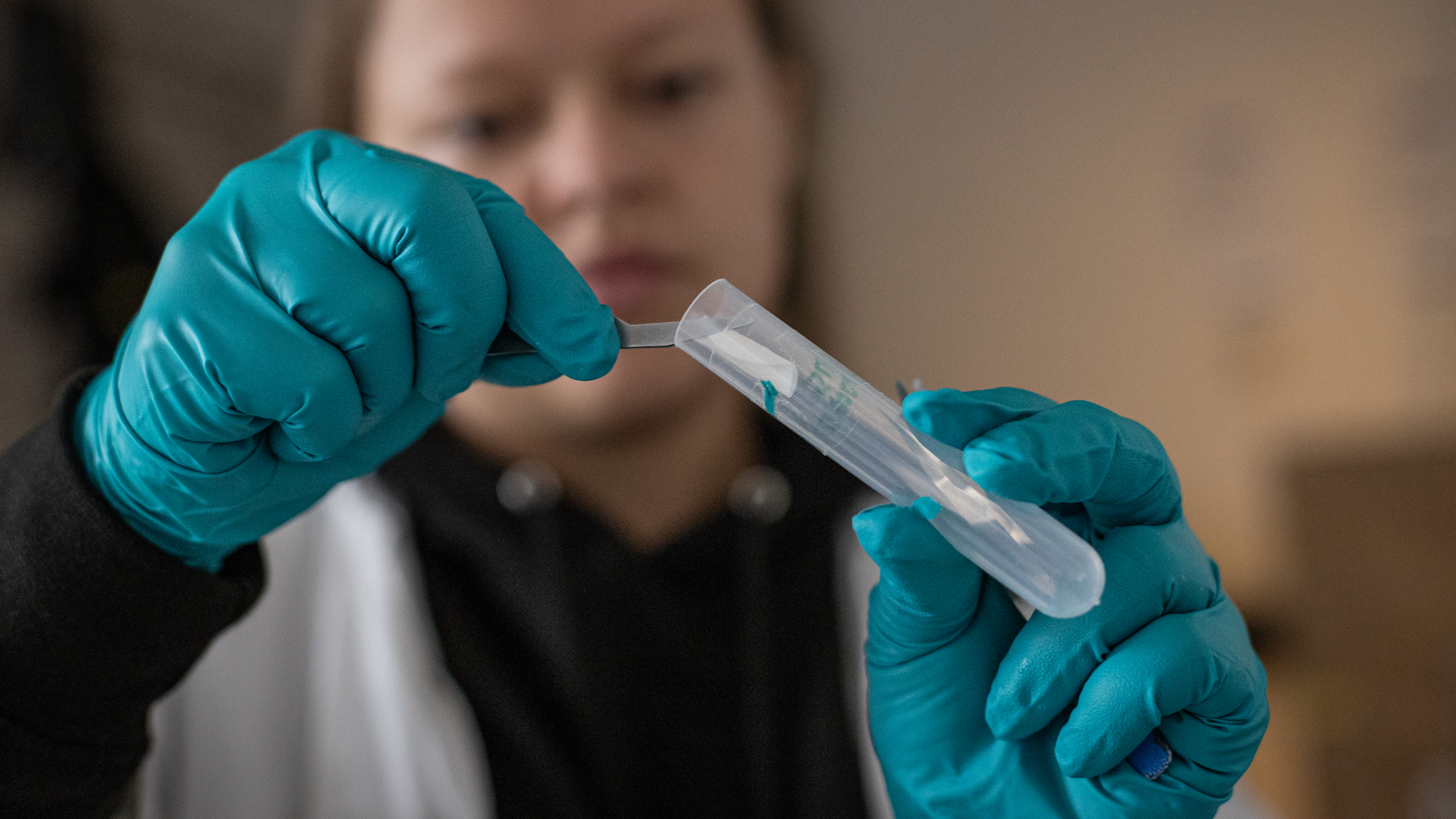 Mesocosm samples are analyzed at GEOMAR in Kiel, Germany. (Maria Feck for Carbon to Sea)