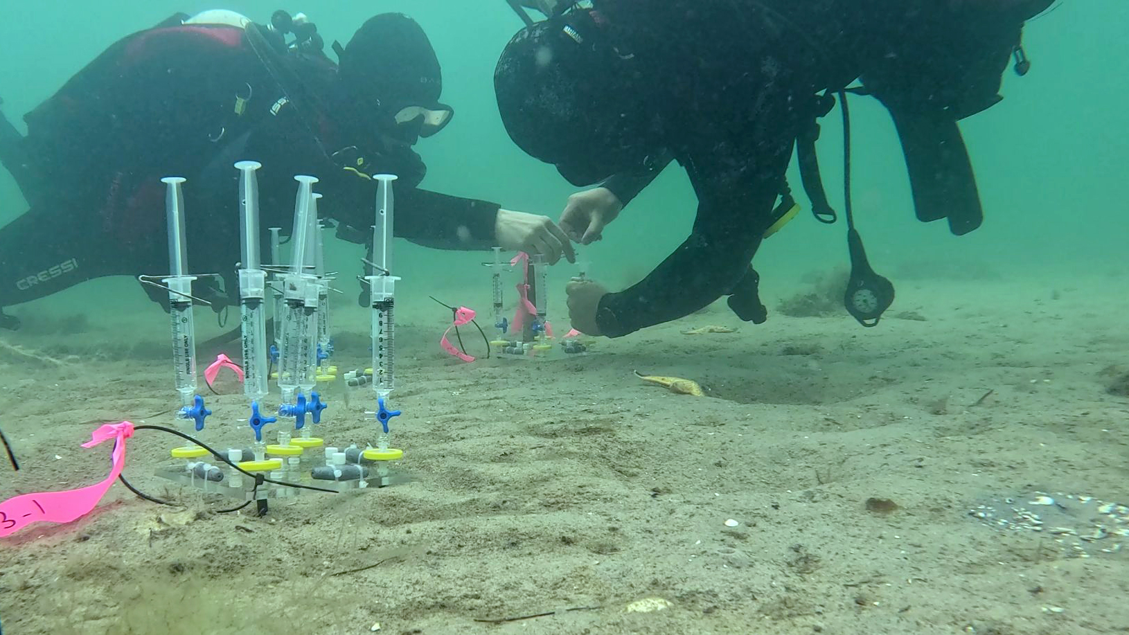 The effect of OAE feedstock on the seafloor is studied by researchers from the University of Tasmania. (Courtesy of Dr. Lennart Bach)