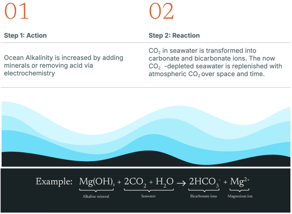 Figure 2: Atmospheric CO2 is removed and durably stored in two steps. This figure illustrates the processes by which alkalinity induces carbon removal